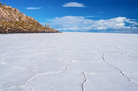 Incahuasi island in Salar de Uyuni, Boliviaの写真素材