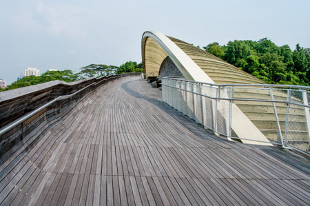 SINGAPORE-AUG 23: Henderson Waves is the highest pedestrian bridge in Singapore. It was built to connect the two hills of Mount Faber and Telok Blangah Hill. August 23, 2011 in Singaporeのeditorial素材