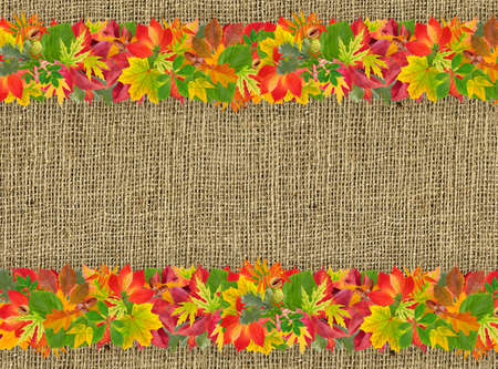 Autumn frame with colorful leaves over shabby sack linen texture.の写真素材