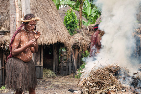 PAPUA PROVINCE, INDONESIA -DEC 28: Unidentified man of a Papuan tribe uses an earth oven method of cooking pig, at New Guinea Island, Indonesia on December 28, 2010のeditorial素材