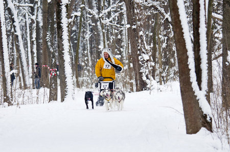 Kharkiv, Ukraine-Feb 7, 2015: Sled Dog Race in Kharkiv, Ukraineのeditorial素材