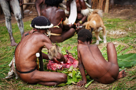 PAPUA PROVINCE, INDONESIA -DEC 28: Unidentified members of a Papuan tribe at New Guinea Island, Indonesia on December 28, 2010のeditorial素材