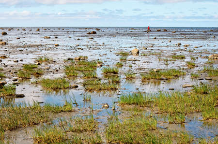 Coast of the Big Solovetsky Island during the low tide. White Sea, Solovki, Russiaの写真素材