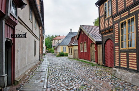 OSLO, NORWAY - SEPT 20, 2014: The Norwegian Museum of Cultural History, Oslo.のeditorial素材
