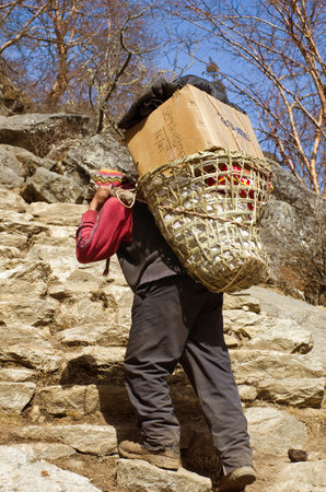 Sagarmatha National Park, Nepal -Circa March, 2014: Porters carry heavy load in the Himalaya in Sagarmatha National Park, Nepalのeditorial素材