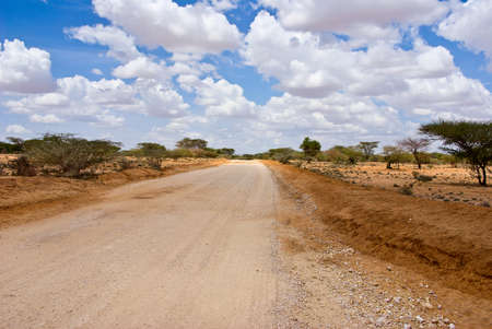 The road in the African savannahの写真素材