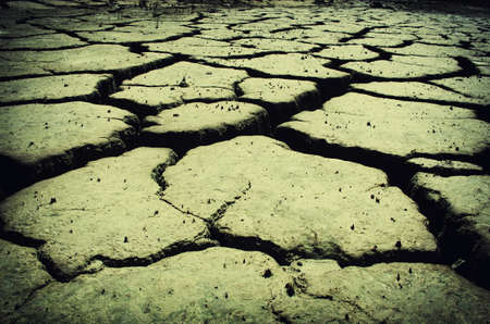 Texture of grey cracked ground for backgroundの写真素材