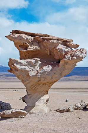 Mexico City, Mexico - October 29, 2016 : Day of the dead parade in Mexico city. The Day of the Dead is one of the most popular holidays in Mexico.の写真素材