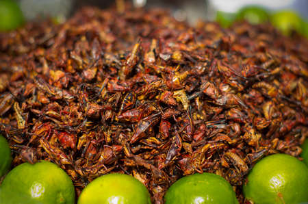 Fried grasshoppers (chapolenas) and lemon at a market, Mexicoの写真素材