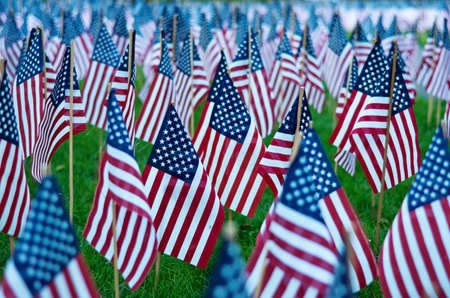 American flags on Memorial Day in Boston, USAの写真素材