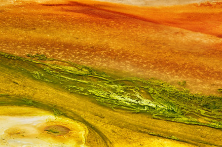 Abstract textures of Porcelain Basin in Yellowstone national park, USA.