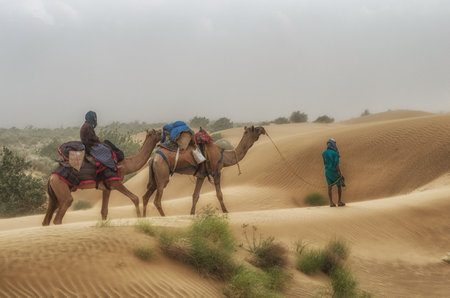 Jaisalmer, India - September 23, 2013: Cameleer at Sam Sand Dune, Thar Desert, India. Camel riding activity is important income source for desert villagers.のeditorial素材