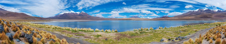 Panoramic view of Lake Hedionda , Bolivia.