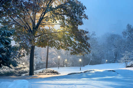 Winter landscape in Central Park. New York City. USAの写真素材