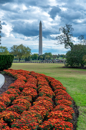 Washington DC, USA - October 20, 2018: Washington Monument in Washington D.C. USAのeditorial素材