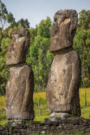 Ahu Akivi  in Rapa Nui (or Easter Island) in the ValparaÃ­so Region of Chile. The site has seven moai, all of equal shape and size, and is also known as a celestial observatory.の写真素材