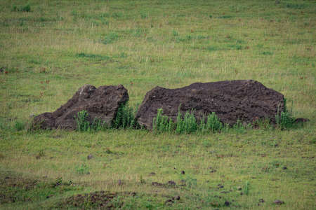Fallen Moai statue at Rano Raraku Volcano at Easter Island, Rapa Nui National Park, Chileの写真素材