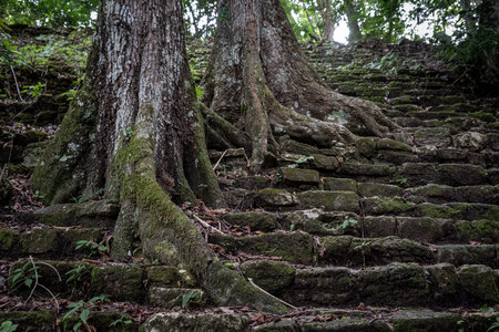Ruins of Temple from Classic Maya period in Bonampak, Chiapas, Mexico