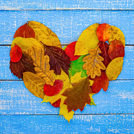autumnal heart on blue wooden background
