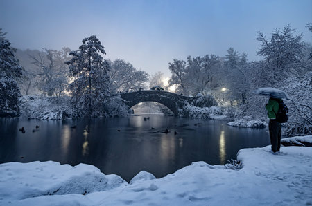 view of Gapstow bridge during winter, Central Park New York City. USA
