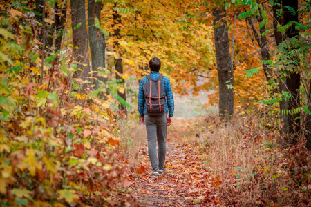 Handsome man walking in park. Outdoor seasonal activities. lifestyle capture.