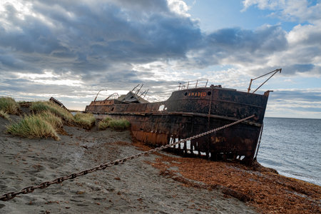 Remains of the steamship Amadeo at San Gregorio in Magellanes, southern Chile.のeditorial素材