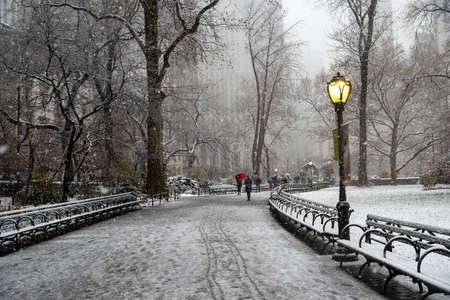 Winter landscape in Central Park. New York City. USAの写真素材