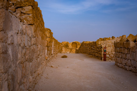 Shivta is an ancient city in the Negev Desert of Israel. Shivta was declared a UNESCO World Heritage Site in June 2005.のeditorial素材
