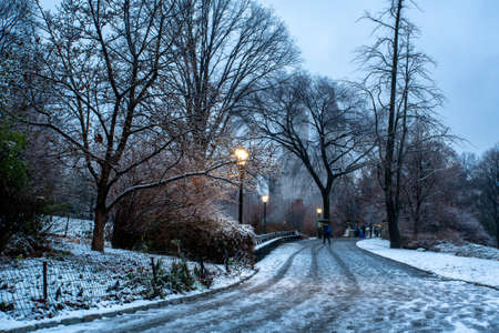 Winter landscape in Central Park. New York City. USAの写真素材