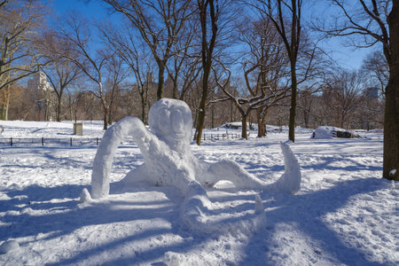 Snow octopus in Central Park during winter, New York City. USA