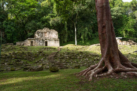 Yaxchilan - an ancient Maya city located on the bank of the Usumacinta River in the state of Chiapas, Mexico.の写真素材