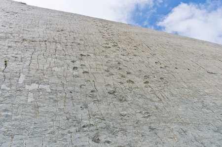 Dinosaur Tracks on the Wall of Cal Orko, Sucre, Bolivia.