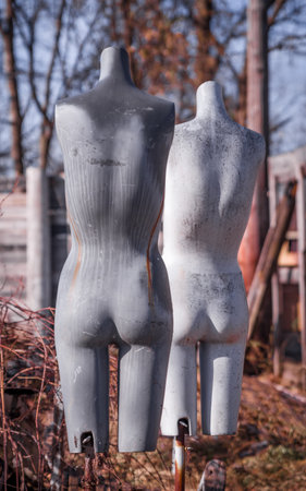 Detroit, Michigan, USA - November 23, 2018: The Heidelberg Project is an outdoor art environment in the heart of an urban area and a Detroit based community organization. It was created in 1986 by the artist Tyree Guytonのeditorial素材