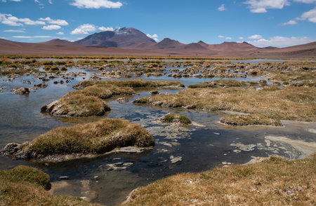view of Quepiaco lagoon in Atacama desert, Chile.の写真素材