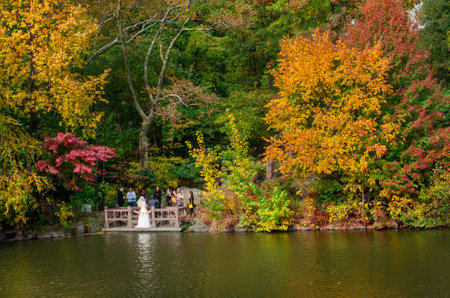 New York, USA - November 1, 2018: Wedding in Central Park. View of autumn landscape in Central Park. New York City. USAのeditorial素材