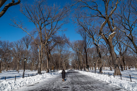 Central Park during winter, New York City. USAの写真素材