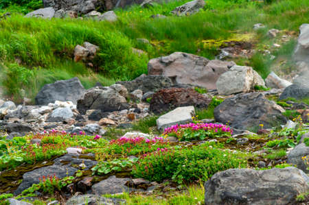Mountain landscape at Paramushir Island, Kuril Islands, Russia. The Yurievskie hot springs.の写真素材