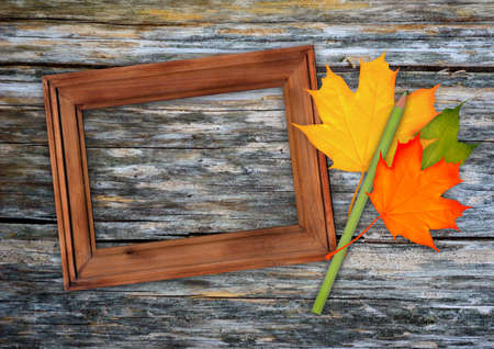 Autumn frameの写真素材