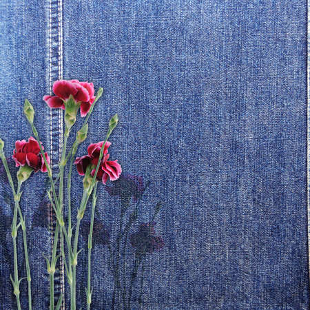 Denim background with flowerの写真素材