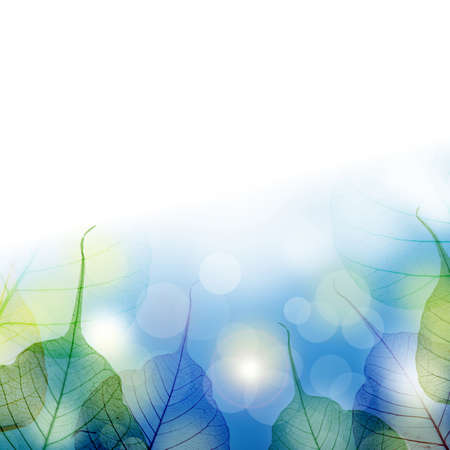 Autumn leaves backgroundの写真素材
