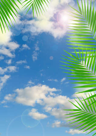 Tropical background with lens flare effectの写真素材