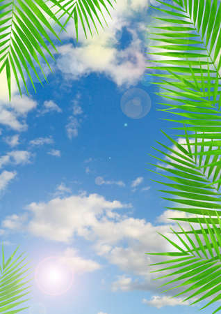 Tropical background with lens flare effectの写真素材