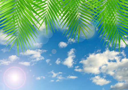 Tropical background with lens flare effectの写真素材