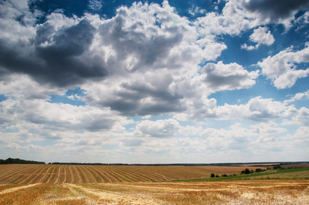 Wonderful panorama of countryside with cloudy sky and harvested field