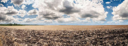 Wonderful panorama of countryside with cloudy sky and harvested fieldの写真素材