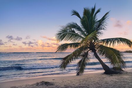 Paradise beach in sunset.の写真素材