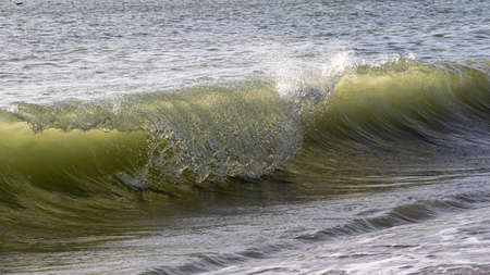 The Crest of a Wave backlit by the Afternoon Sunの写真素材