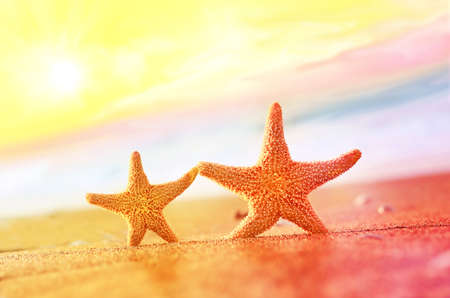 Summer beach. Two starfish.の写真素材