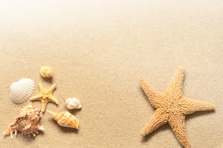 Summer beach. Starfish and seashell on the sand.