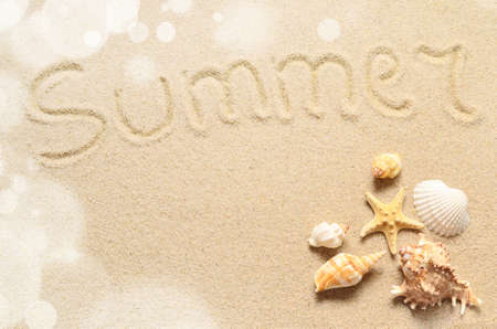 Summer beach. Seashell on the sand.の写真素材